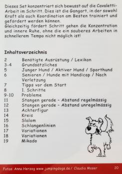 Trainingskarten Körperkontrolle Cavaletti-Training